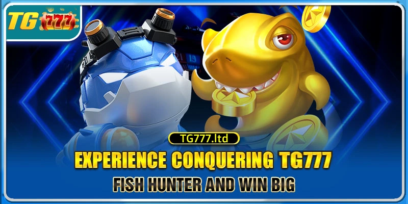 Hunter WIN