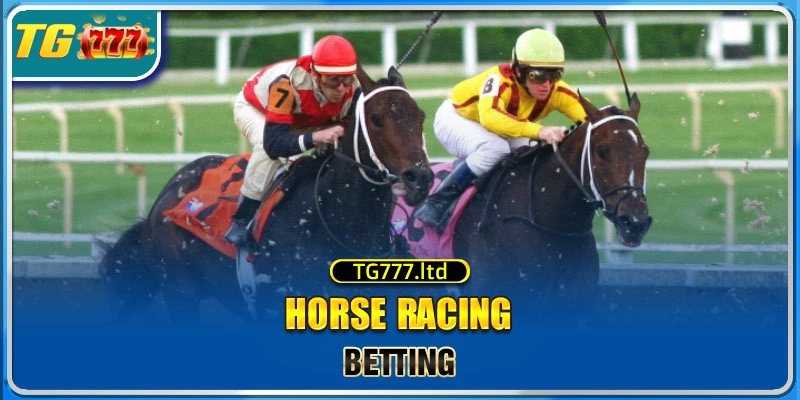 TG777 Horse racing